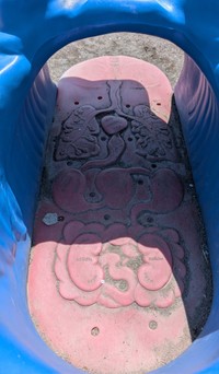 背中から見ると大腸と小腸が見える