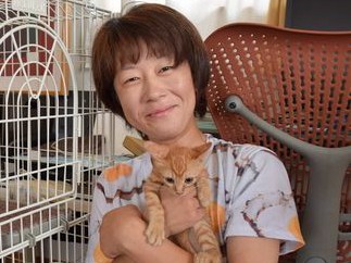 山梨県庁にすむ野良猫、保護し不妊・去勢　ボランティア団体