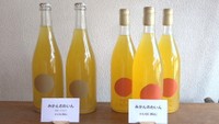 廃棄していたミカンを活用したワインが完成　香川・小豆島