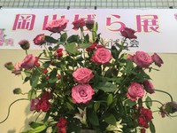 岡山市役所