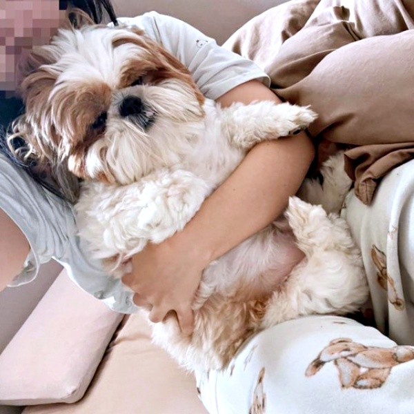 ママに捕まる別バージョンのぽこちゃん （画像提供：ぽこさん）