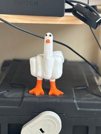 中指を立てるアヒルのオブジェ（提供：ズッキさん）