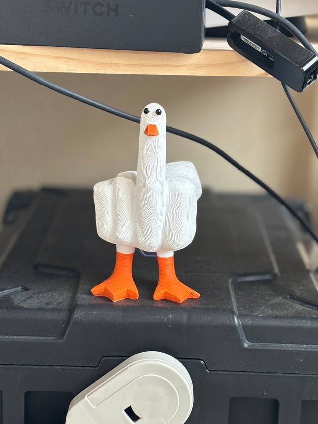 中指を立てるアヒルのオブジェ（提供：ズッキさん）