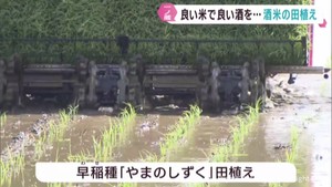 酒米の田植え始まる　宮城・大崎市の一ノ蔵　五穀豊穣を願う梵天ばやい　宮城・大和町