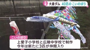 鯉のぼり４０匹が並ぶ圧巻の光景　仙台市青葉区の大倉ダムで恒例のイベント