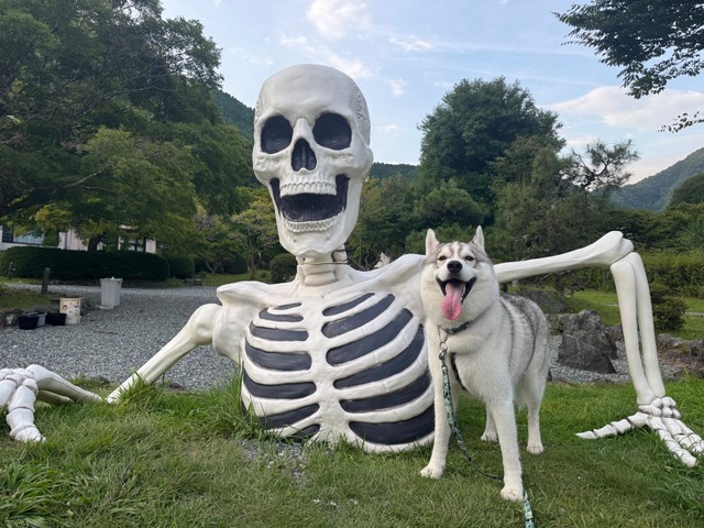 満点の笑顔で巨大な骸骨とツーショット！（提供：𝘴𝘢𝘮さん）