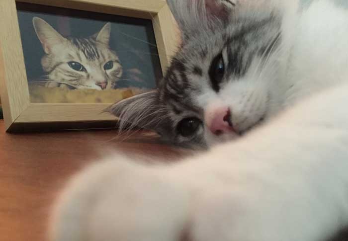 「マルオのための『requiem』、こういう曲で見送りたかったとパパが作ったんだ」〔近藤さん提供）