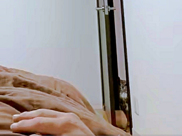 寝室をのぞくアルマちゃん（画像提供：アルマ@ベンガルワシミミズクさん）