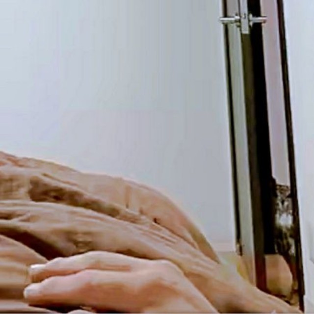 寝室をのぞくアルマちゃん（画像提供：アルマ@ベンガルワシミミズクさん）