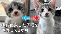 1カ月後の表情ビフォーアフター（提供：おかゆ生活さん）