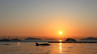 夕暮れの景色（四国水族館提供）