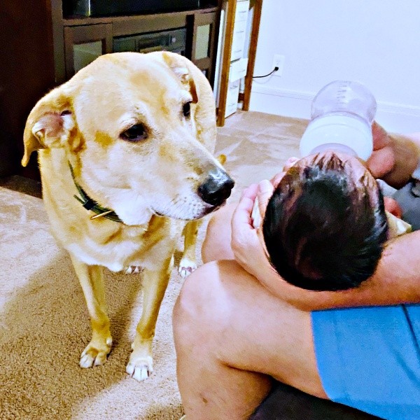 ミルクを飲む赤ちゃんを見つめるリンちゃん（画像提供：リンちゃんゼルちゃん）