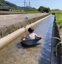 ゆらゆら～と流れていく姿が可愛すぎる！（提供：＠kominka_yamaneさん
）
