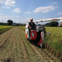 2020年から米の生産も始めて今年で3年目。今後、お米の生産をさらに増やしていくという（金子さん提供）