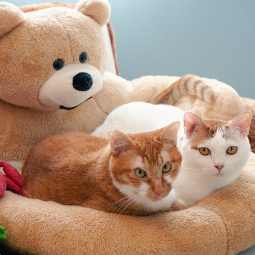 まったりとリラックス中