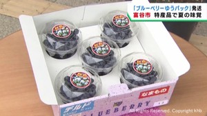 ブルーベリーゆうパック出発式　宮城・富谷市