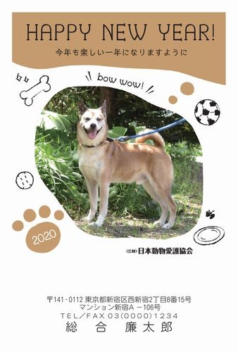 埼玉県の保健所から救出されたミックス犬ゴローのデザイン