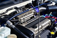 このコンディションを保っている個体、いまどれくらい残ってるんでしょうか