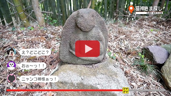 #293丸森町 猫神さま探し③