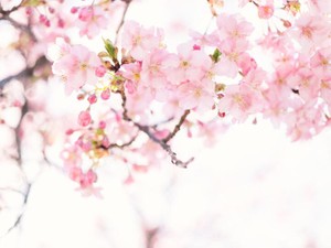 五感全てで感じる感情や思い出を一緒に刻んできた、相棒のセーラー服