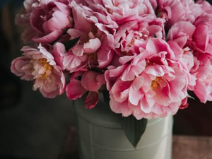 「離婚の相談に乗る」。何気ない課長の茶々は、特権を持つ人の言葉だ