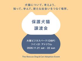 パナソニック保護⽝猫譲渡会11月21、22日大阪で　譲渡会コーナーの予約を開始
