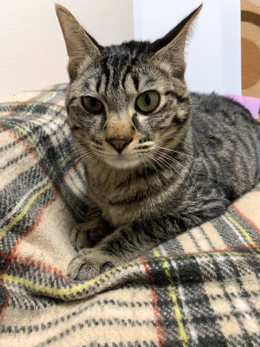 たくさんお話しようよ～！