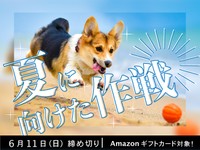 【アマギフ対象】「夏に向けた作戦」でエッセイ募集！6月11日（日）締切