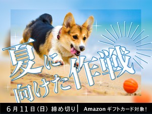 【アマギフ対象】「夏に向けた作戦」でエッセイ募集！6月11日（日）締切