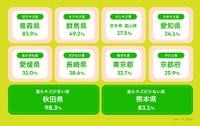 【キズの傾向別】都道府県ランキング（提供画像）