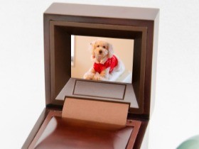 亡きペットを動画で偲べる宝箱　小さくて高級感