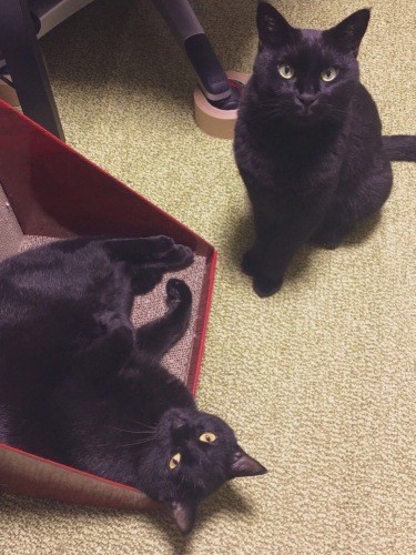 これからも、健康に気をつけて（あいみさん提供）