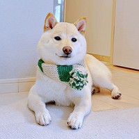 マフラーがよく似合ううるちゃん（画像提供：うるちゃんさん）