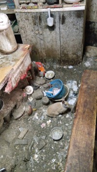 崩壊現場は、人が息するのも辛い状況で粉塵と異臭でいっぱいだったという（もよままさん提供）