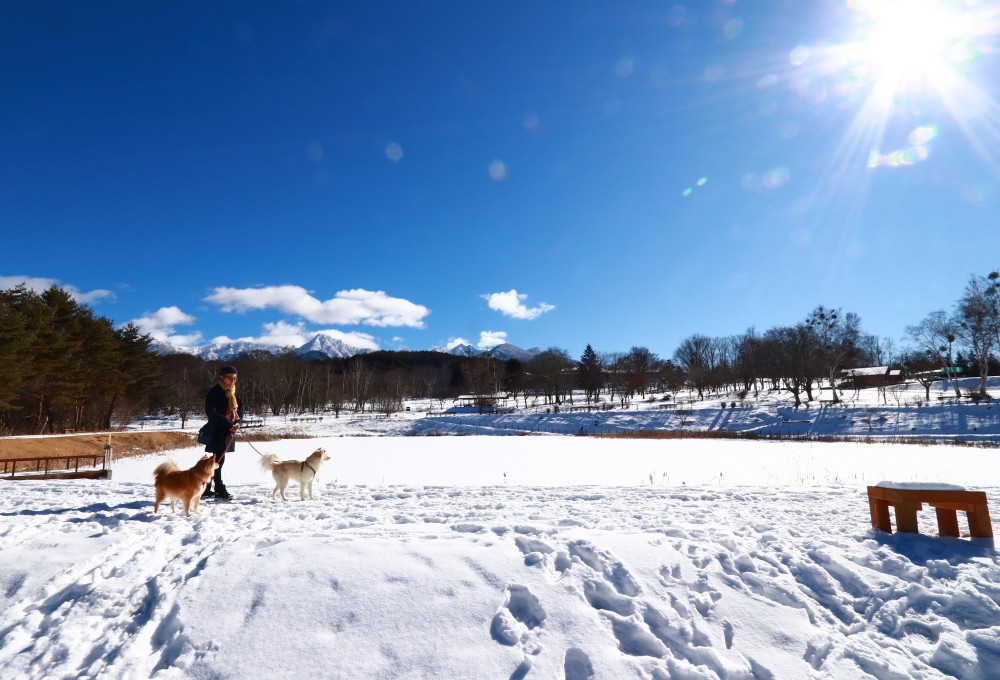 凍った「まるやち湖」のほとりで