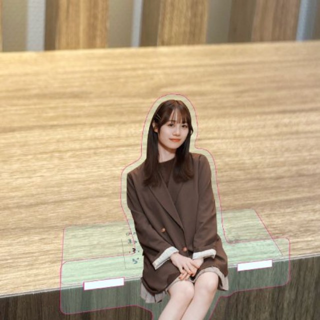 伊藤美来さんフォトブック『みっくぶっくらいぶらりー』アニメイト限定版：おすわりみっくあくすた 