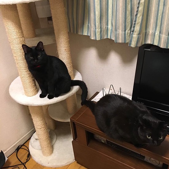 「遊ぶところもたくさんあるし」（雅子さん提供）