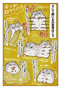 【漫画】「ハムスターを飼う前の想像と飼った後の思考こんな感じ」（提供：遊ハちさん）