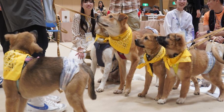 来場者と触れあう保護犬