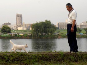 河川敷に餌をもらいに来ていた白猫「シロ」　ふたりのおじさんに愛され、生き抜いた