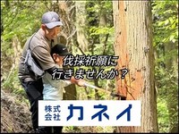 「伐採祈願ツアー」の様子(提供：金田哲人さん）