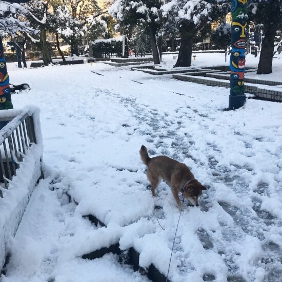 雪でも遊んだね