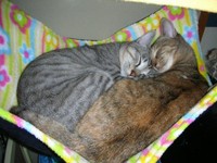 寄り添い合うひこくんとちゃーこちゃん