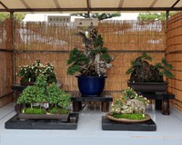 2025年の展示　湊恵さんの作品