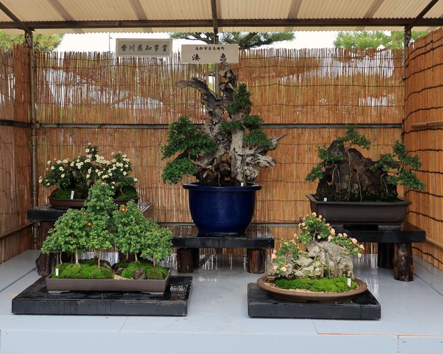 2025年の展示　湊恵さんの作品