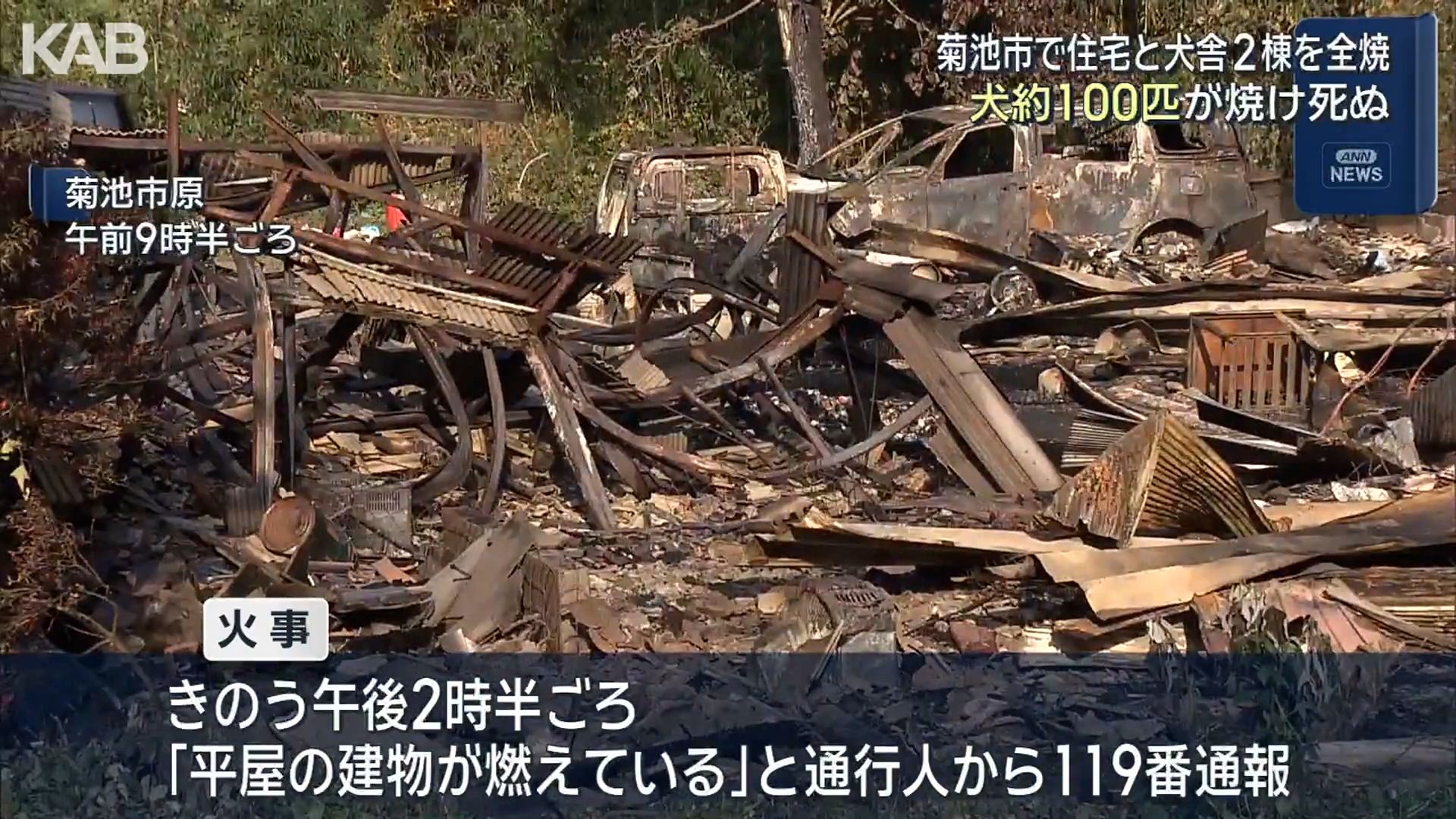 菊池市で住宅と犬舎2棟が全焼…犬約100匹が焼け死ぬ