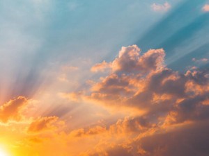 コロナによって失った目標、祖父の死。絶望から救ったのは父の言葉だった