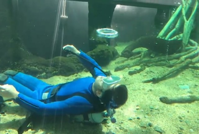 キラリくっきりバブルリング（栃木県なかがわ水遊園の画像はすべて公式Twitterから）