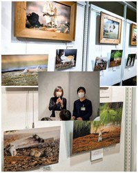 私のうさぎ展　展示写真とutaさん