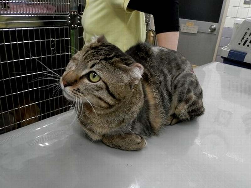 施設の診察台で